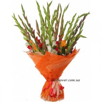 Bouquet of gladiolus 21 pcs.
